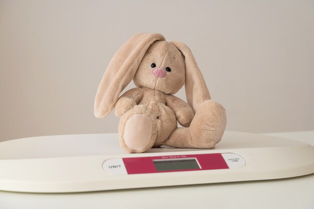 Cute plus bunny on weighing machine