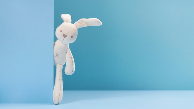 Cute plush toy with blue background