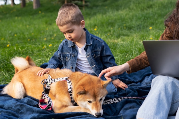 Free photo cute shiba inu pet with family