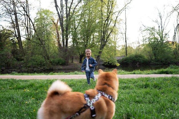 Cute shiba inu pet with family