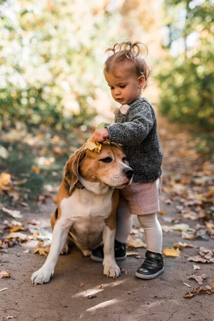 Cute small girl playing with beagle dog