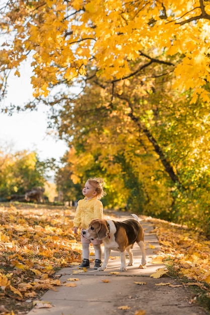 かわいい微笑の女の子と彼女のペットの犬が公園の通路に立っています。