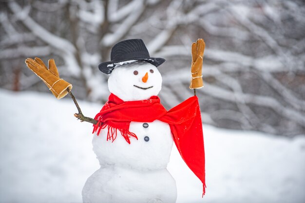 雪だるまと冬の外で面白い女の子 雪の村でかわいい雪だるま プレミアム写真