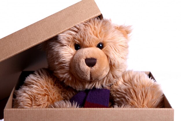 Cute Teddy Bear in the gift box