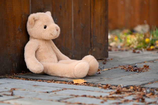 Free photo cute teddy bear outdoors still life