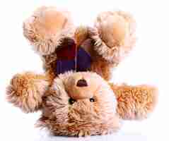 Free photo cute teddy bear