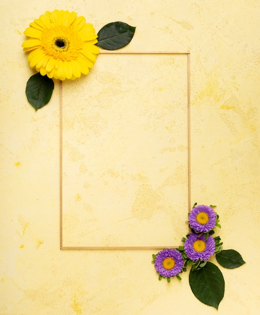 Cute yellow daisy and small violet flowers frame