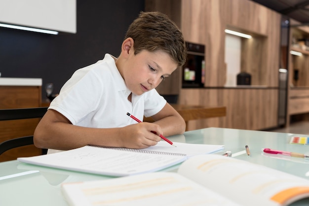 Cute young boy doing his homework