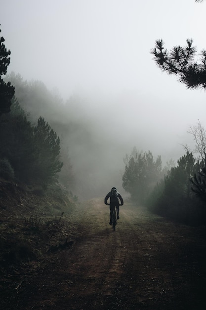 Cyclist riding on a narrow long road through the forest