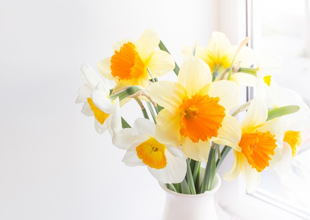 Free photo daffodil flower.