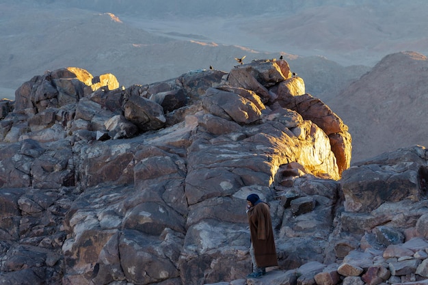 ダハブエジプトシナイ山脈のベドウィンの肖像画