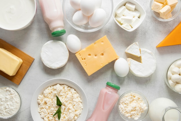 Dairy products assortment above view