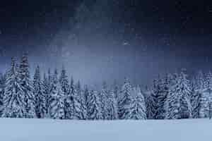 Бесплатное фото Молочный звездный путь в зимнем лесу. драматическая и живописная сцена. в ожидании праздника. карпатская украина