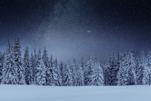 Молочный Звездный путь в зимнем лесу. Драматическая и живописная сцена. В ожидании праздника. Карпатская Украина