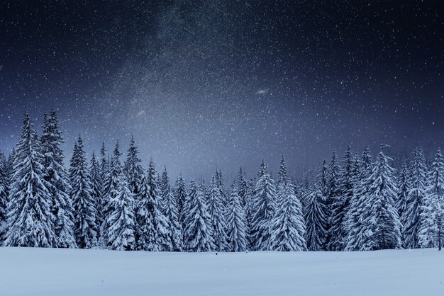 Молочный Звездный путь в зимнем лесу. Драматическая и живописная сцена. В ожидании праздника. Карпатская Украина