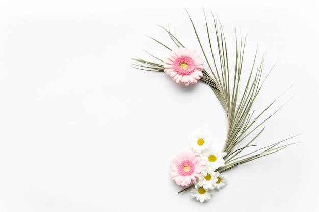 Daisies on palm leaf