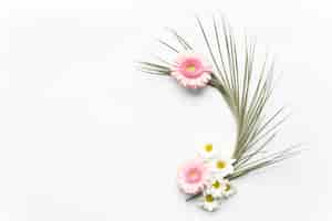 Free photo daisies on palm leaf