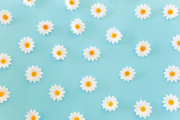 Free Photo daisies pattern on blue background