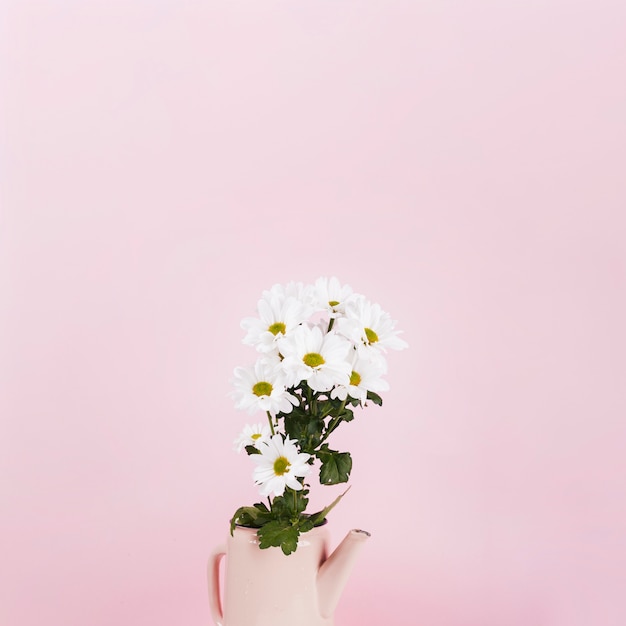 Free photo daisy flowers in a vase