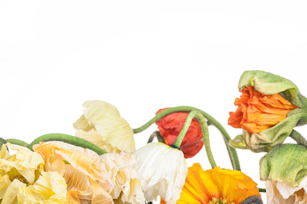 Daisy and poppy flowers bouquet