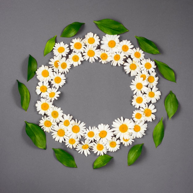 Daisy wreath with leaves around