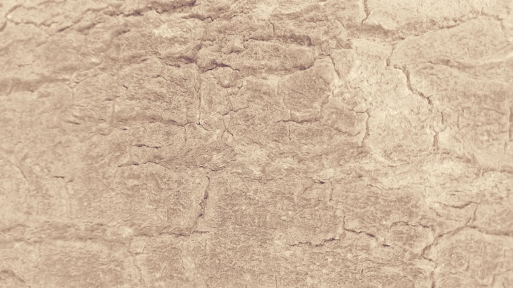 Free Photo damaged surface texture light brown background