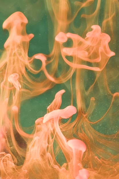 Dancing sea jellies underwater in oil