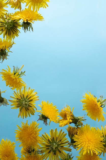 空にタンポポの花