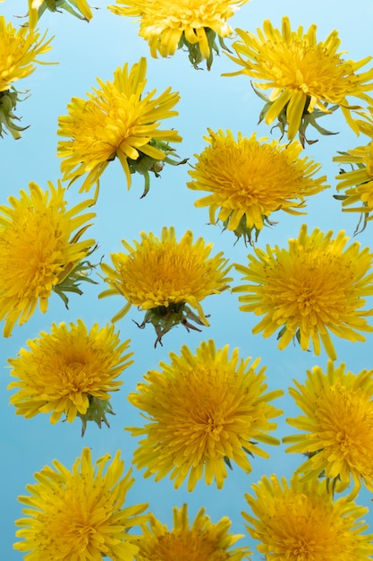 空にタンポポの花