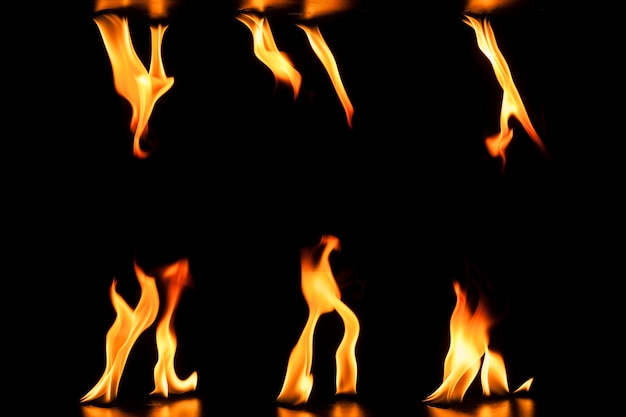 Dark background with variety of flames