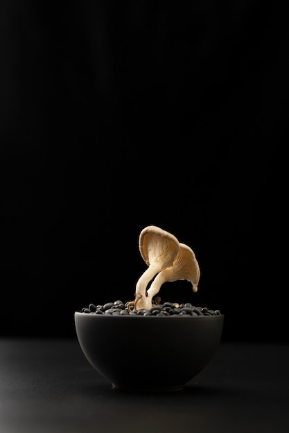 Dark bowl with beans and mushrooms on a dark table