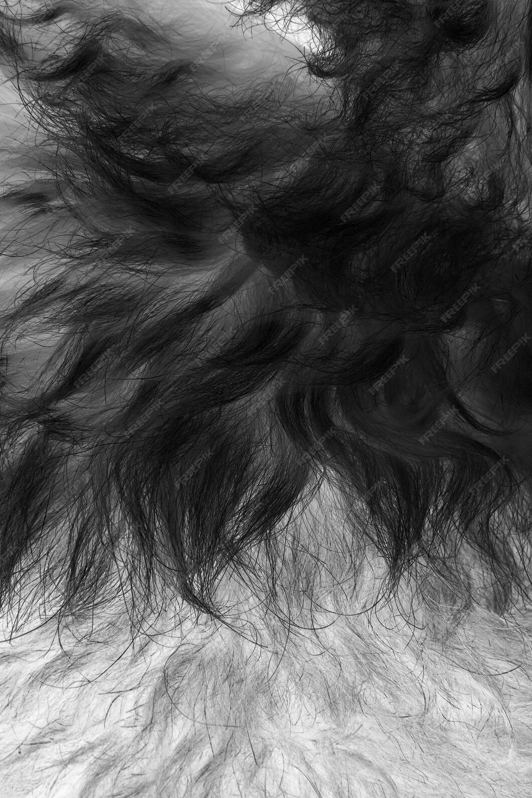 Free Photo Dark fur texture