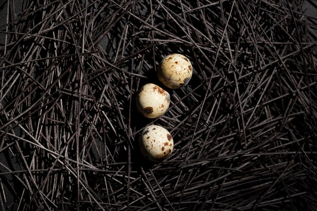 ウズラの卵と暗い巣