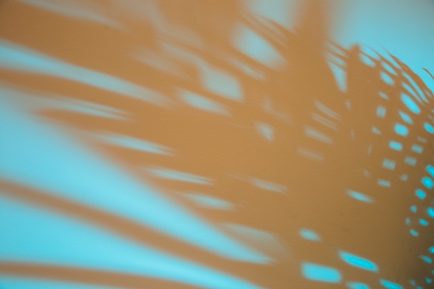Dark palm leaves shadow on blue backdrop