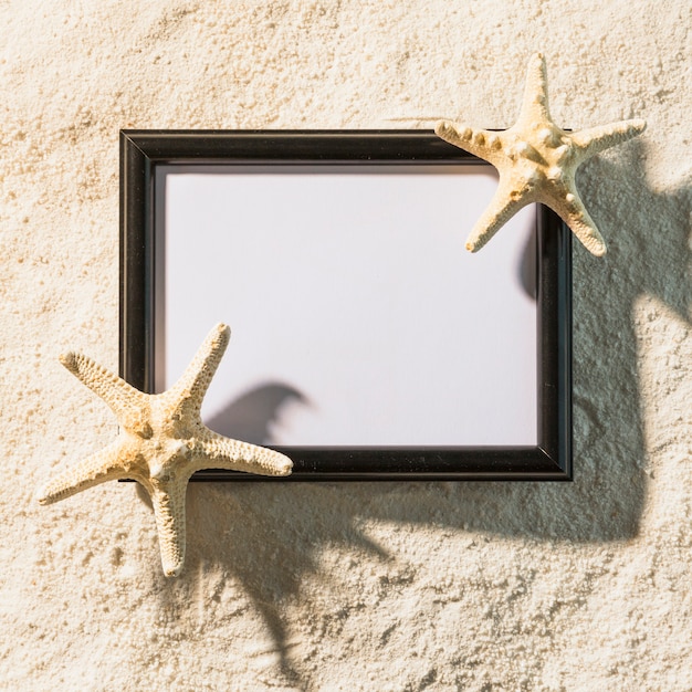 Free photo dark photo frame with starfishes