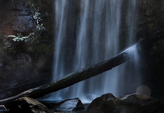 Foto gratuita colpo scuro di una cascata che cade fortemente che scorre sulle rocce e schizzi su un bastone di legno