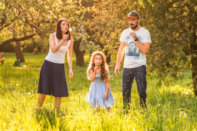Daughter blowing dandelion with her parents