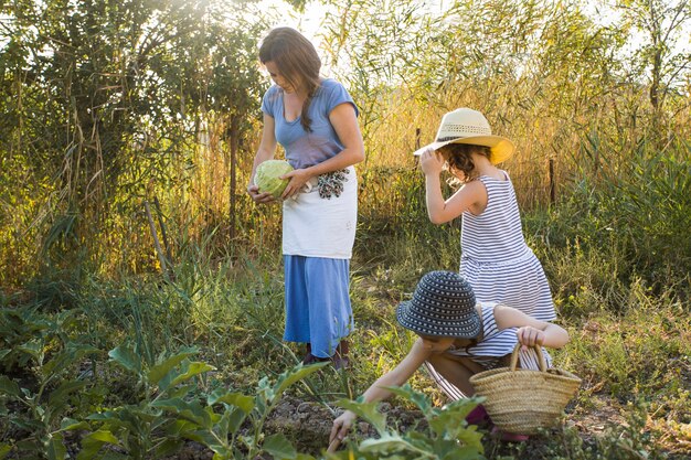 Daughter and mother harvesting vegetables in the field