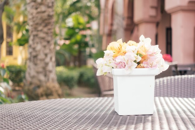 day flower pink patio mediterranean