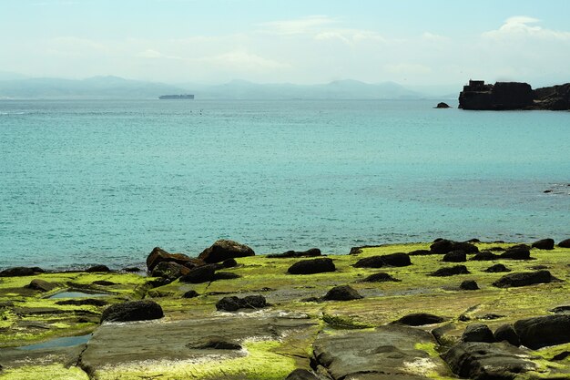 Daytime shot of a beach covered in rocks and moss in Tarifa, Spain