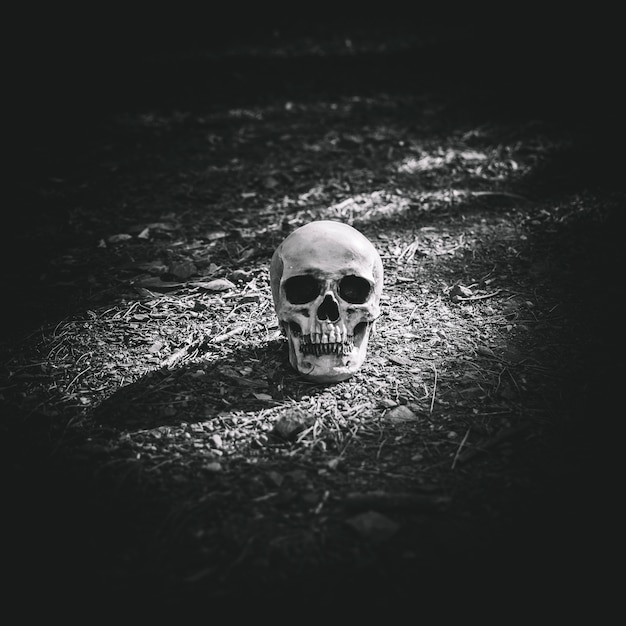 Dead illuminated cranium placed on grey soil