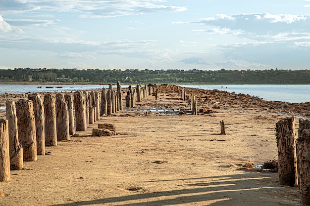 A dead lake and old salt logs peep out of the water