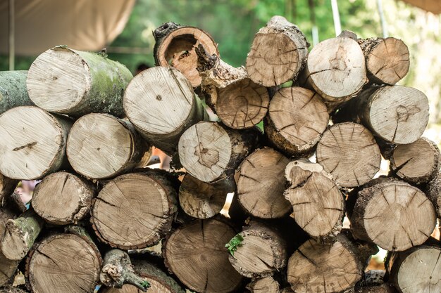 The deck is stacked logs