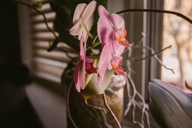 Decorated vase of flowers next to a window