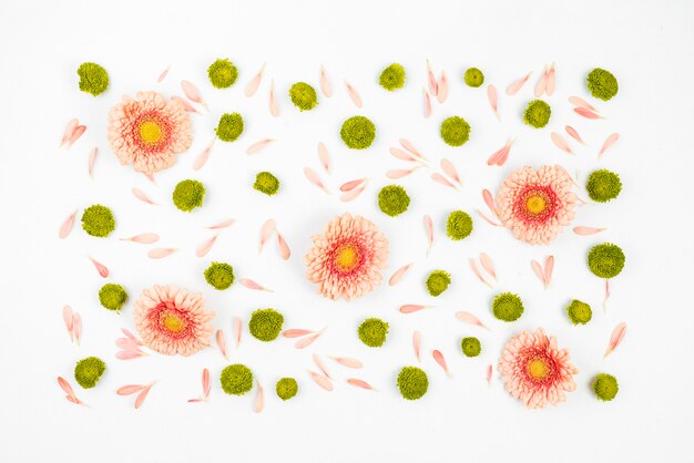 Decorated white background with gerbera flowers