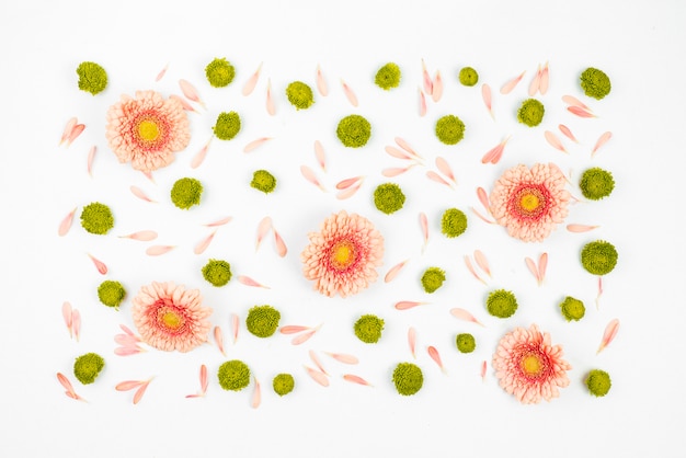 Decorated white background with gerbera flowers