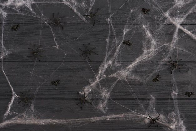 Украшение черных пауков между паутиной
