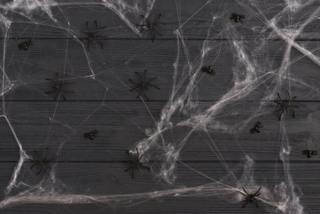 Decorating black spiders between gossamer