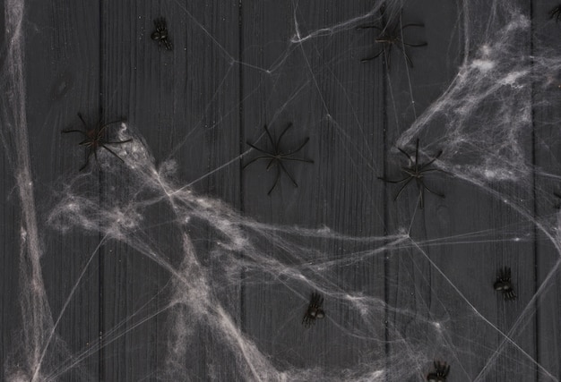 Decorating spiders between cobweb 