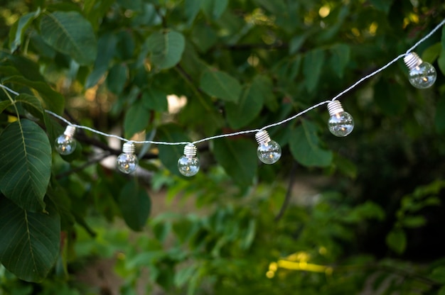 Free photo decoration lightbulbs arrangement outdoors